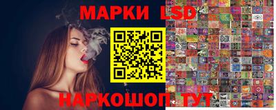 мдпв Бердск