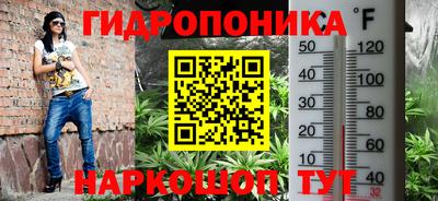 мдпв Бердск