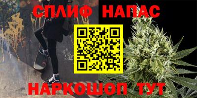мдпв Бердск