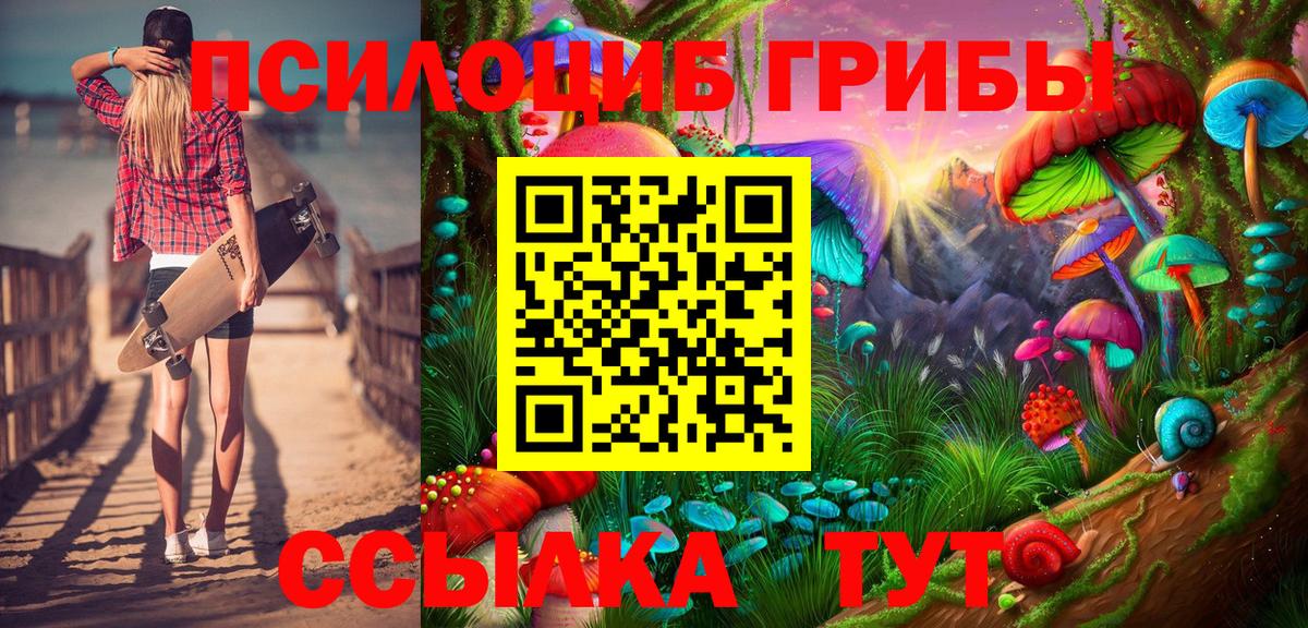 Ревда  Галлюциногенные грибы Cubensis  Вход с VPN 