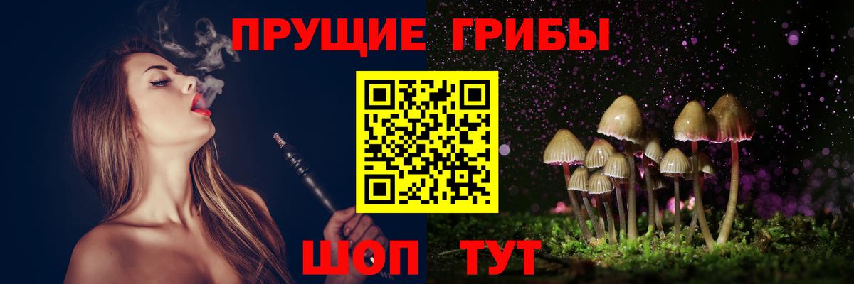 Псилоцибиновые грибы прущие грибы Ревда